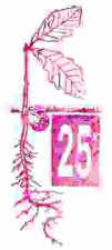 CT State Forest Letterbox Stamp 25