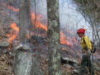 Controlled burn