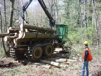 Forwarder crossing cordurouy