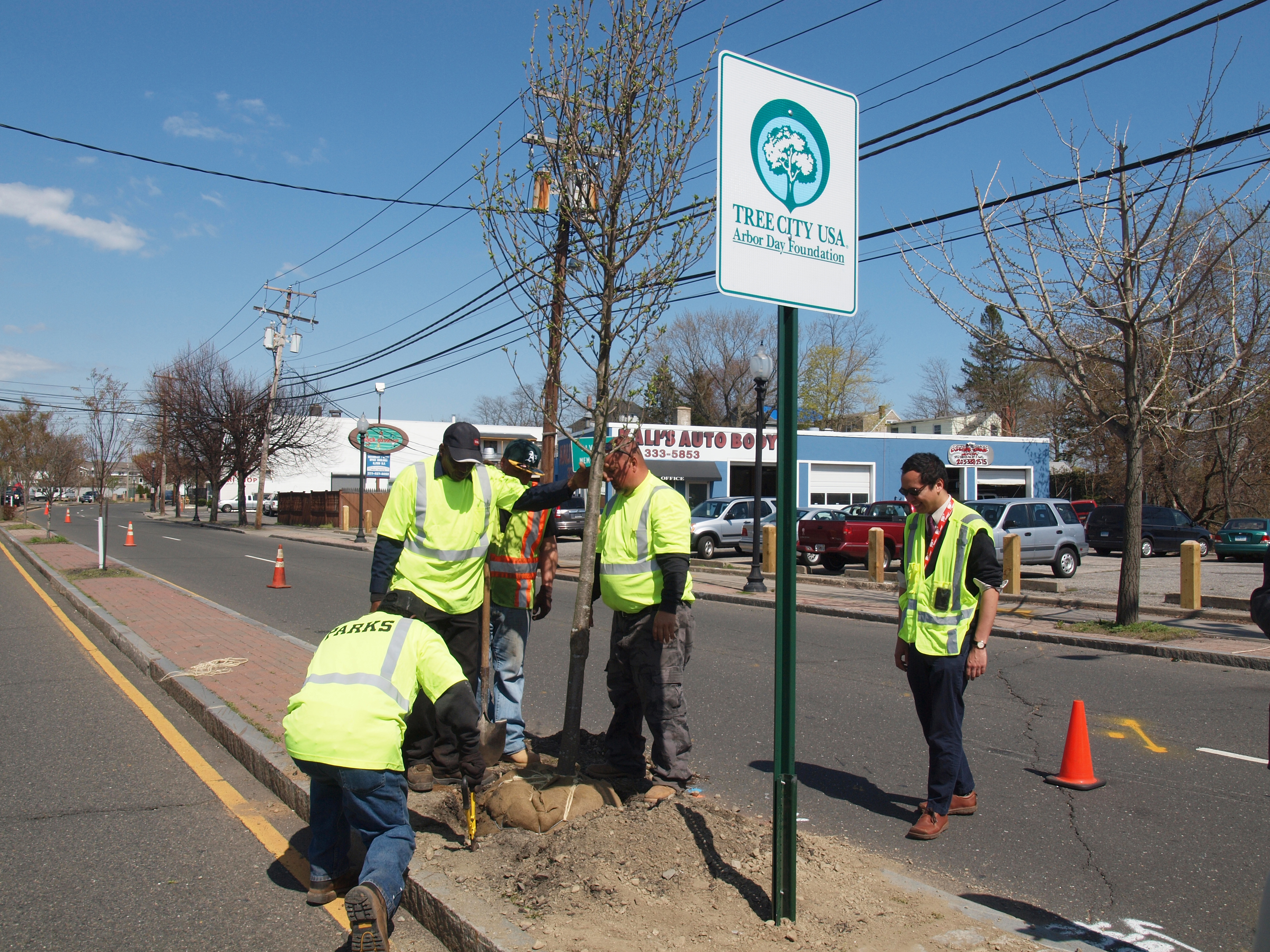 Bridgeport Tree City 2013 - Fairfield Avenue