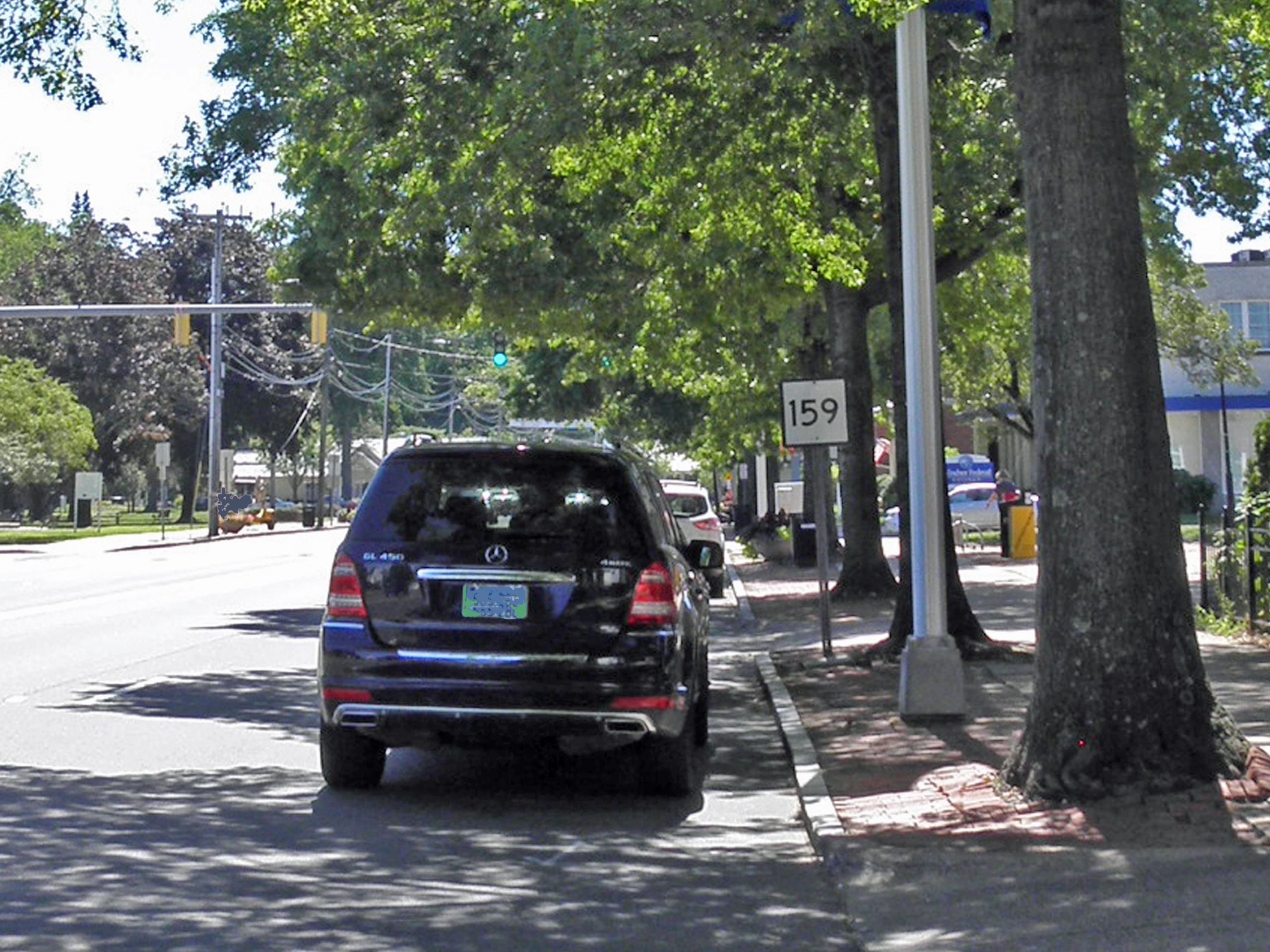 Trees alongside Route 159 in Windsor