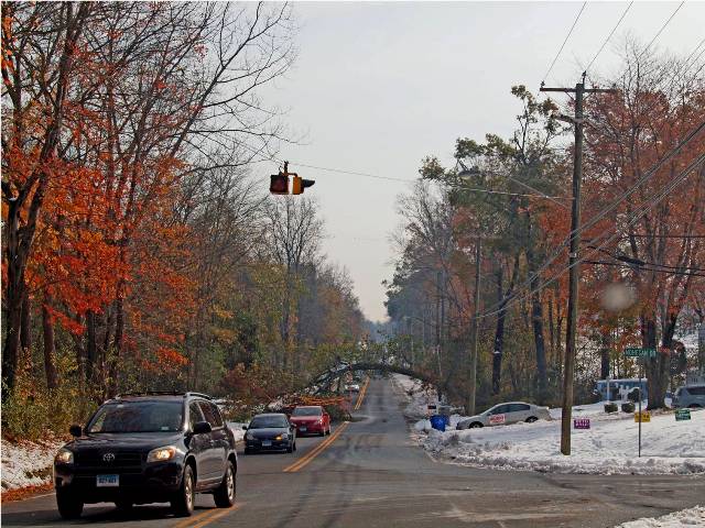 Snow storm tree damage in West Hartford, CT, 2011