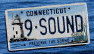 LIS License Plate