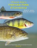 Cover of Pictorial Guide to Freshwater Fishes of Connecticut