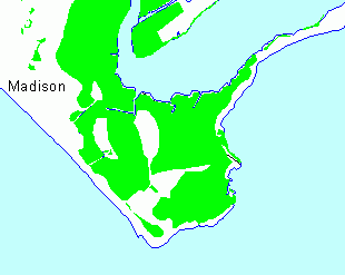 Tidal Wetlands 1990's