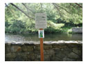 Photograph of Eight Mile River Greenway