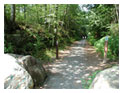 Photograph of Colchester Air Line State Park Trail