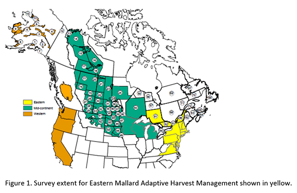Map showing the survey area for Eastern Mallard Adaptive Harvest Management.