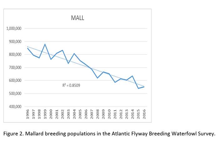 Graph showing the mallard breeding populations in the Atlantic Flyway Waterfowl Survey.