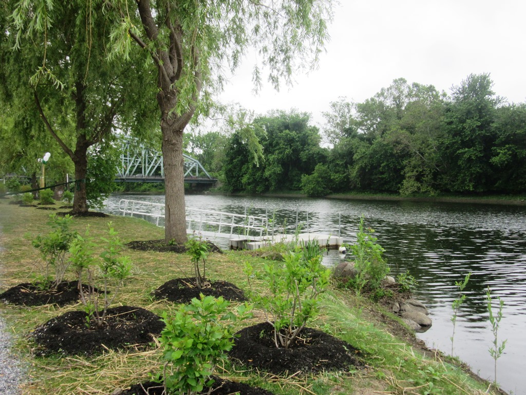 Image of boat launch and plantings.