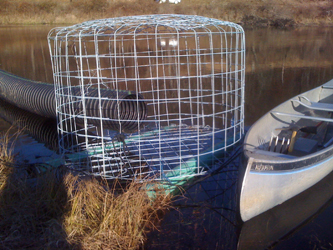 image of water leveler at Carse Brook