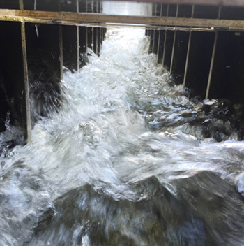 Fish Ladder Baffles