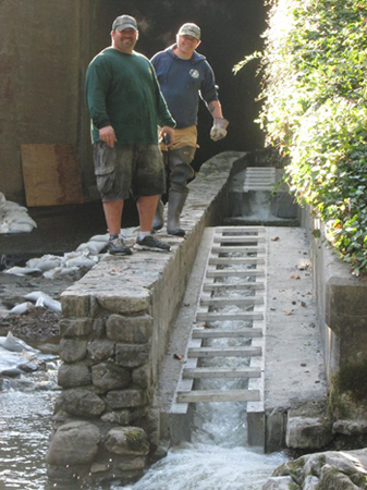 fish ladder repair