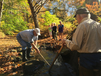 volunteers conducting macroinvertebrate study