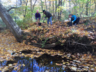 volunteers planting native trees and shrubs