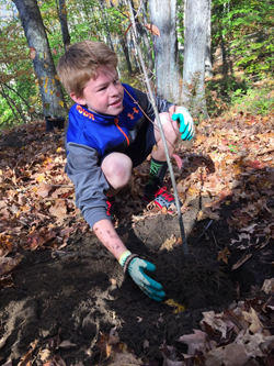 student volunteer planting native trees and shrubs