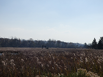 The CT DEEP WHAMM Unit's low ground pressure excavators are busy creating shallow pools for wildlife on the Powerline Marsh