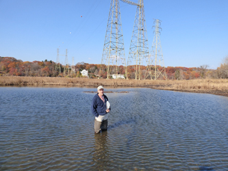 Pools created for wildlife use are a tenth to a quarter-acre in size and average 6-18 inches deep.