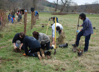 students planting