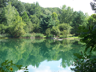 Pond after treating for phragmites