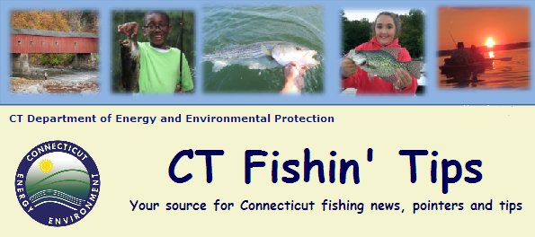CT Fishin' Tips Newsletter