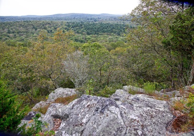 View From Dyer Property Avalonia Land Trust