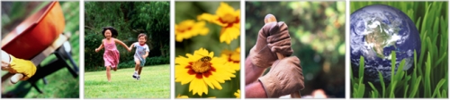 images of tools, flowers, grass reladed to landscaping