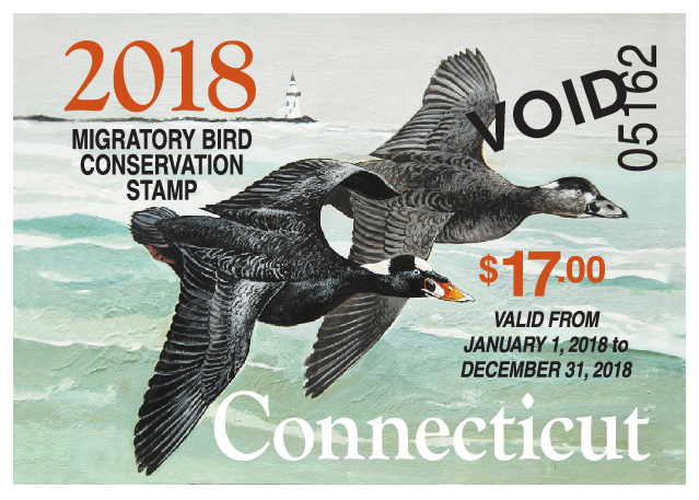 2018 Connecticut Migratory Bird Conservation Stamp
