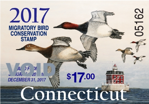 2017 Connecticut Migratory Bird Conservation Stamp