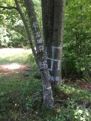 Vandalism at Lake Williams State Park