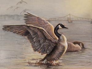 Canada geese with East Haddam Swing Bridge