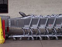 Grocery Carts