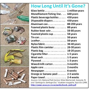 How Long Before Litter Decays Chart