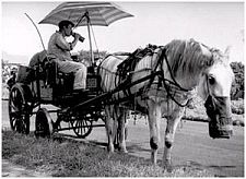 Old Time Horse & Cart Rag Collector