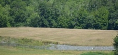 Yaworski Lagoon Superfund Site in 2016