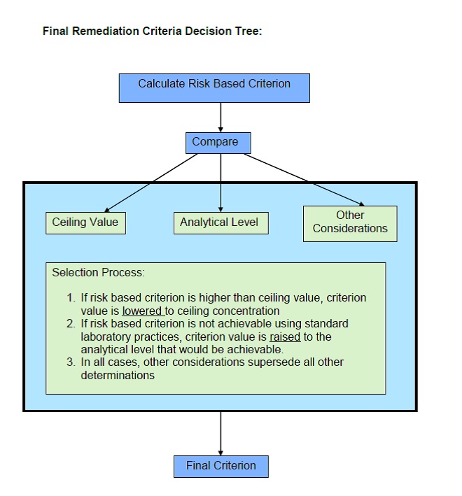 Flow chart depicting criteria process