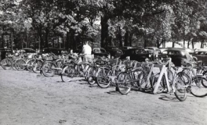 Bicycling at Wharton Brook State Park