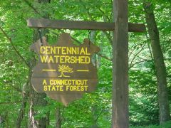 Centennial Watershed State Forest