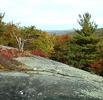 Mohawk State Forest