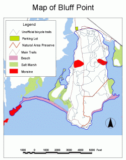 Map of surficial materials at Bluff Point.