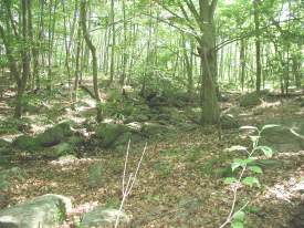 Photograph of boulders in moraine along the trail back to the parking lot.