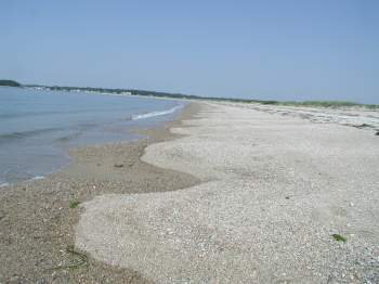 Photograph of a summer view of the beach at low tide.