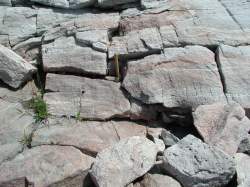 Photograph of the Hope Valley Alaskite Gneiss.