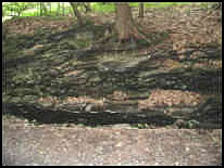Photograph of meandering stream cutting through schist