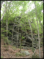 Photograph of schist outcrop along trail