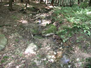 Erosion of streambed at Campbell Falls State Park