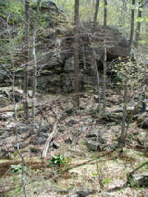 Photograph from Chatfield Hollow State Park