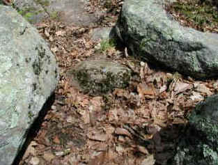 Photograph of Portland Arkose, the rock in the center of the picture with the coin on it.