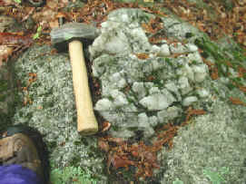 Photograph of pegmatite boulder with large quartz crystals