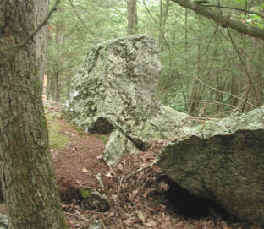 Photograph of oddly shaped pegmatite outcrop along the red trail